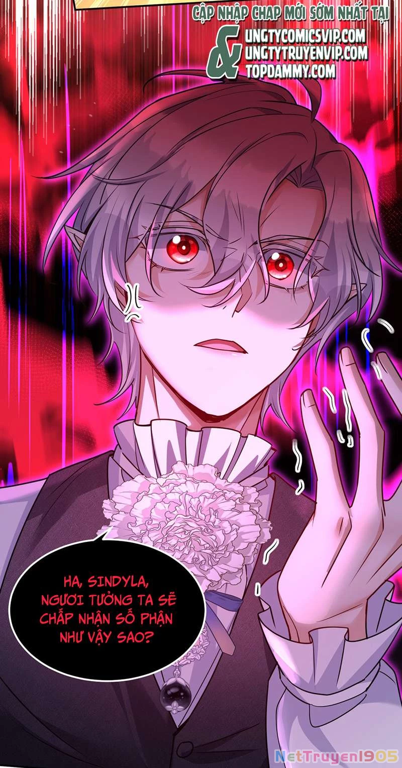 Dẫn Sói Vào Phòng Chapter 171 - 33