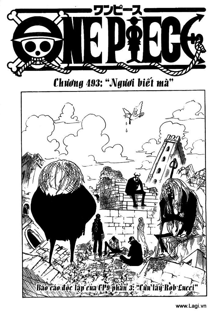 One Piece Chapter 493 - 1