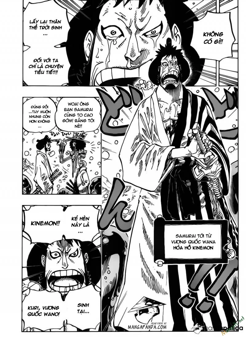 One Piece Chapter 672 - 14