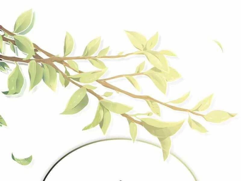 Sự Thức Tỉnh Của Hắc Ma Pháp Sư Sau 66666 Năm Chapter 55 - 205