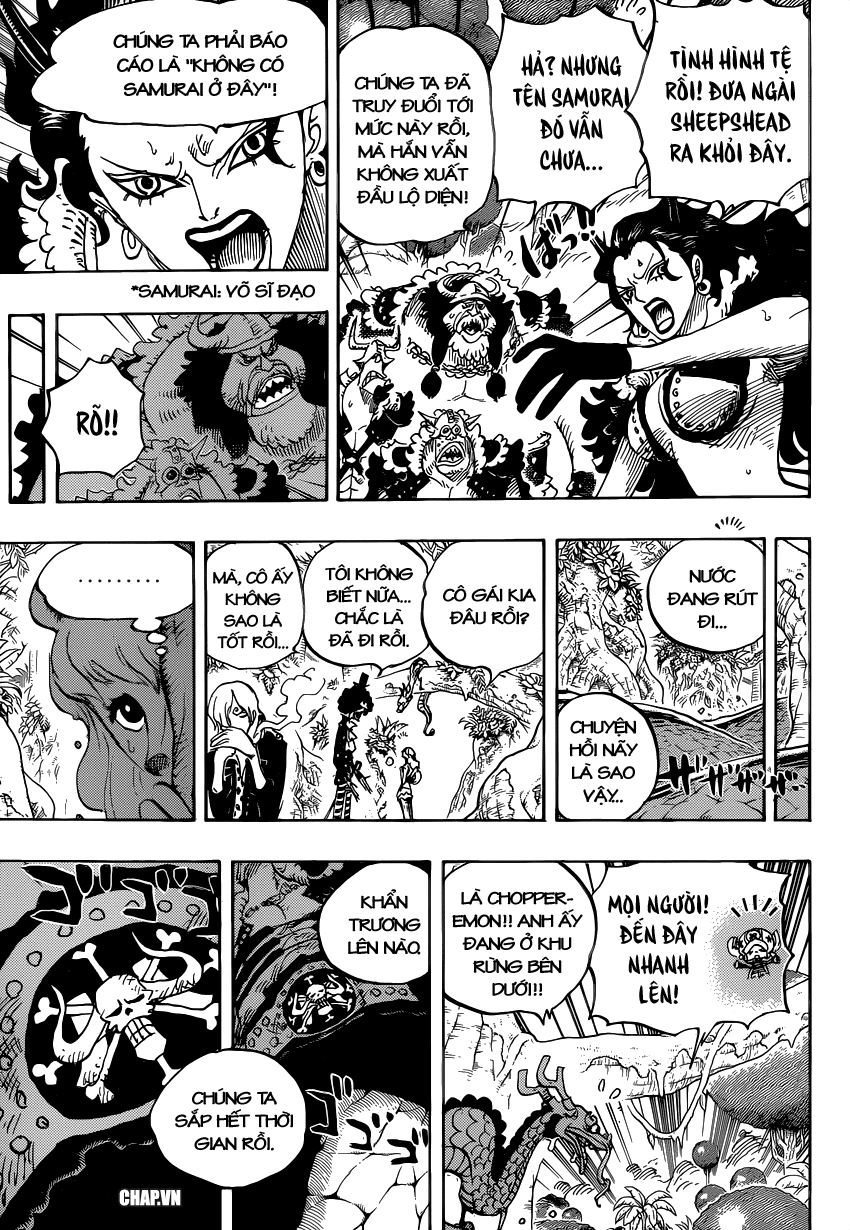 One Piece Chapter 795 - 9