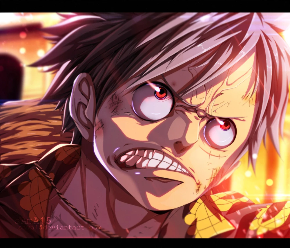 One Piece Chapter 795 - 19