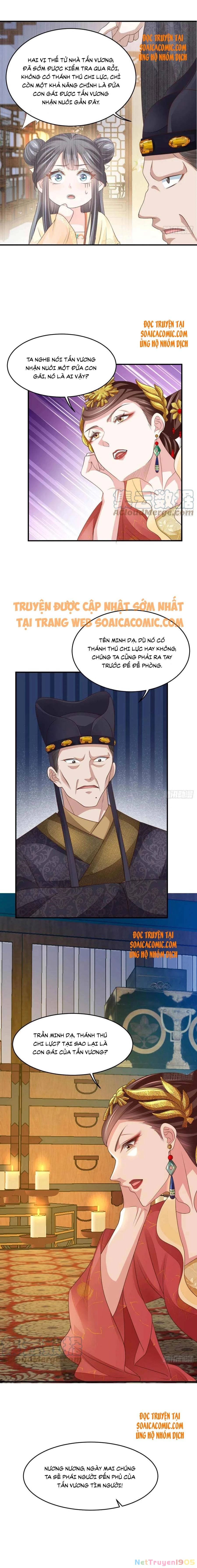 Thuần Hóa Ba Ba Bạo Quân Chapter 26 - 11