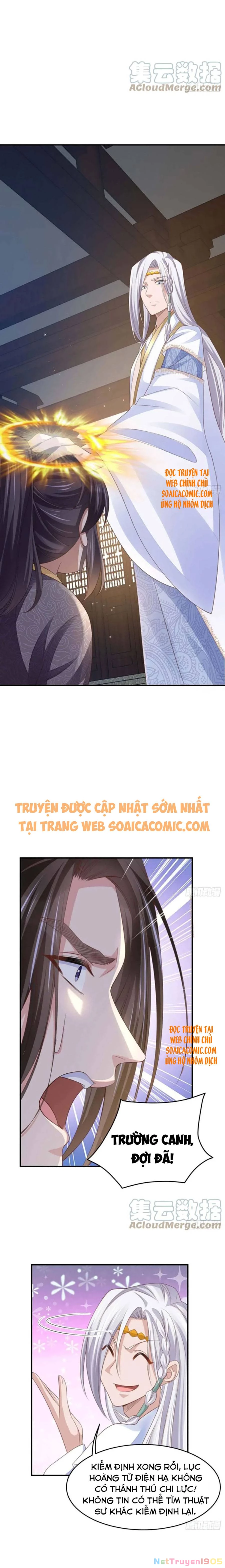 Thuần Hóa Ba Ba Bạo Quân Chapter 31 - 10