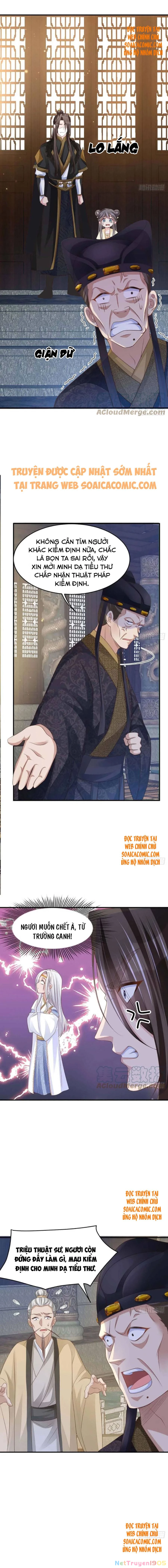 Thuần Hóa Ba Ba Bạo Quân Chapter 31 - 11