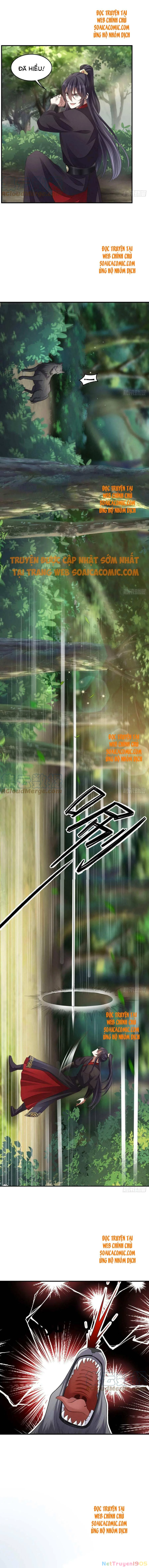 Thuần Hóa Ba Ba Bạo Quân Chapter 40 - 4