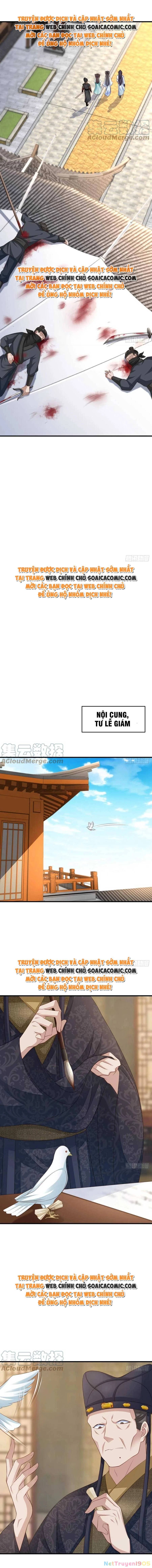 Thuần Hóa Ba Ba Bạo Quân Chapter 48 - 4