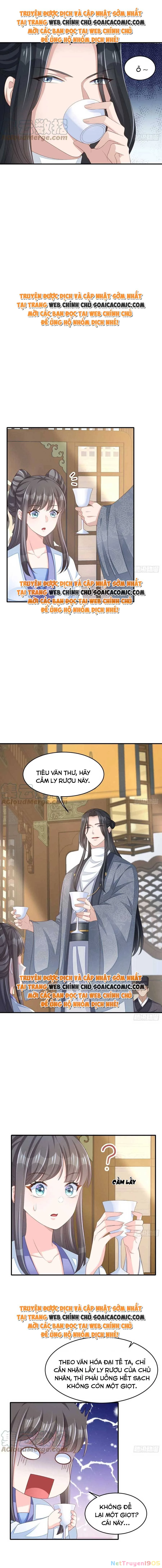 Thuần Hóa Ba Ba Bạo Quân Chapter 49 - 6