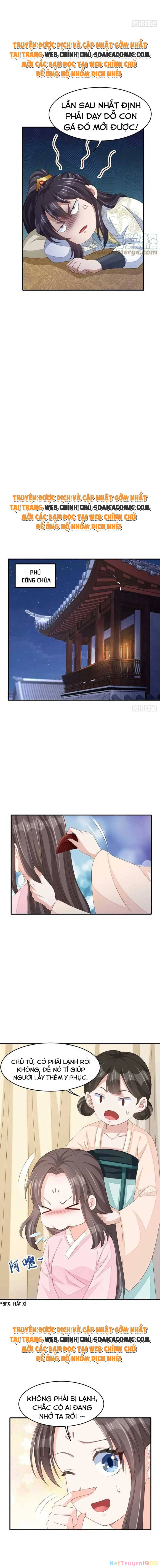 Thuần Hóa Ba Ba Bạo Quân Chapter 51 - 2