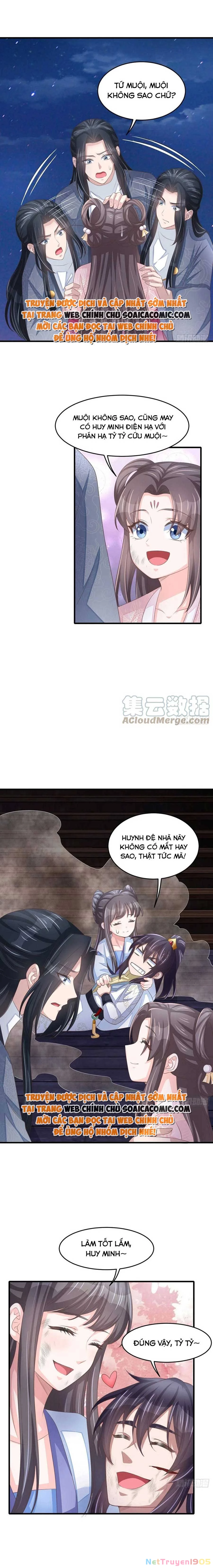 Thuần Hóa Ba Ba Bạo Quân Chapter 62 - 4