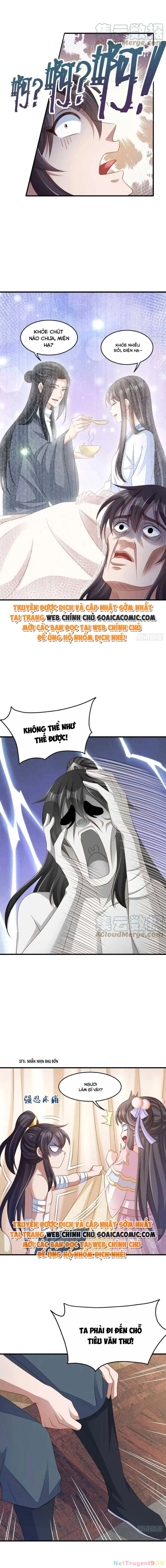 Thuần Hóa Ba Ba Bạo Quân Chapter 63 - 3