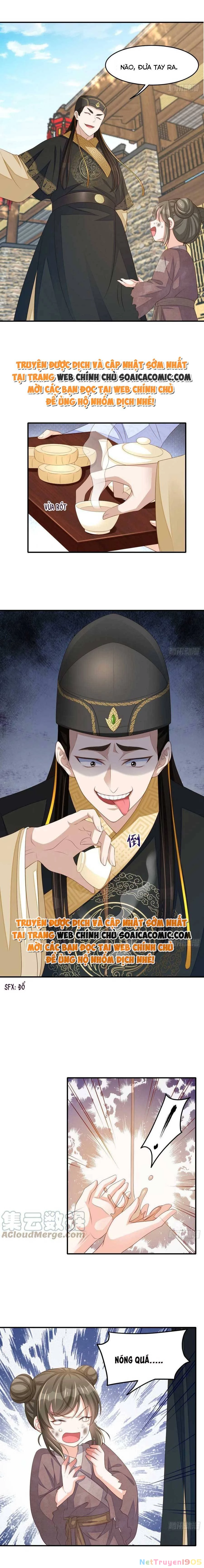 Thuần Hóa Ba Ba Bạo Quân Chapter 66 - 7