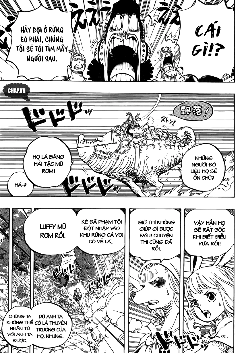 One Piece Chapter 805 - 5