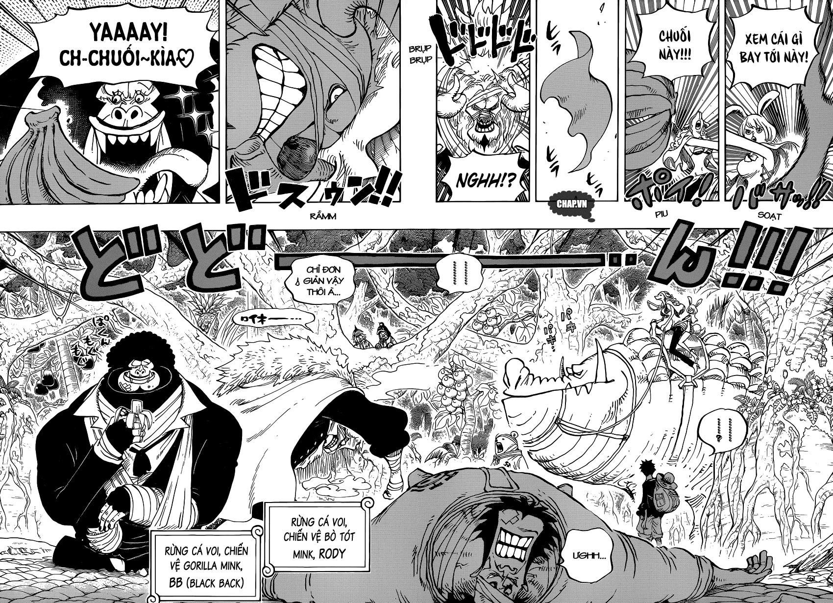 One Piece Chapter 805 - 10