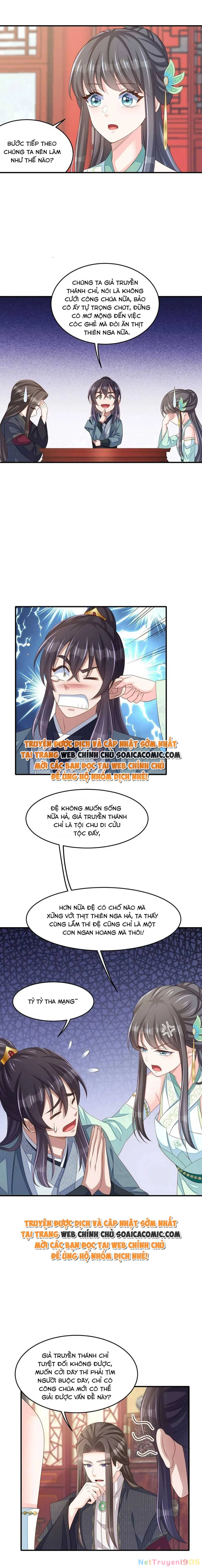 Thuần Hóa Ba Ba Bạo Quân Chapter 68 - 8