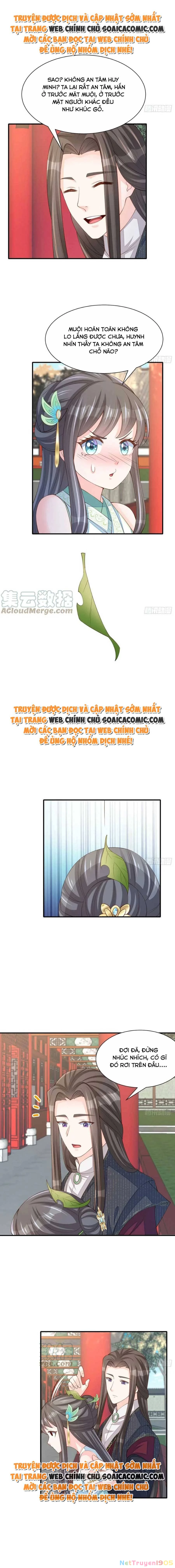 Thuần Hóa Ba Ba Bạo Quân Chapter 69 - 8