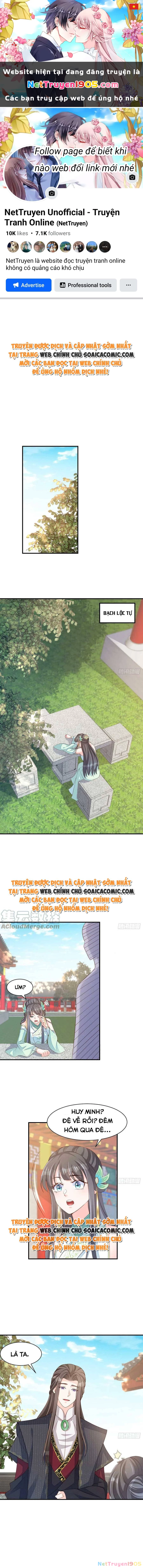 Thuần Hóa Ba Ba Bạo Quân Chapter 73 - 1