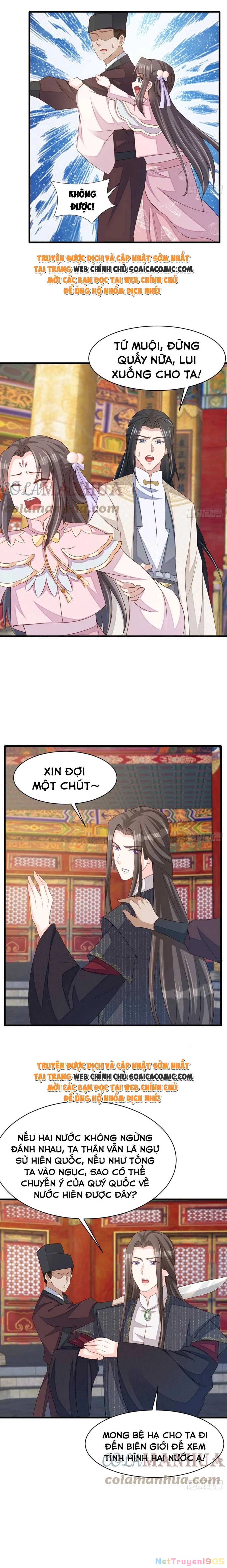 Thuần Hóa Ba Ba Bạo Quân Chapter 85 - 12