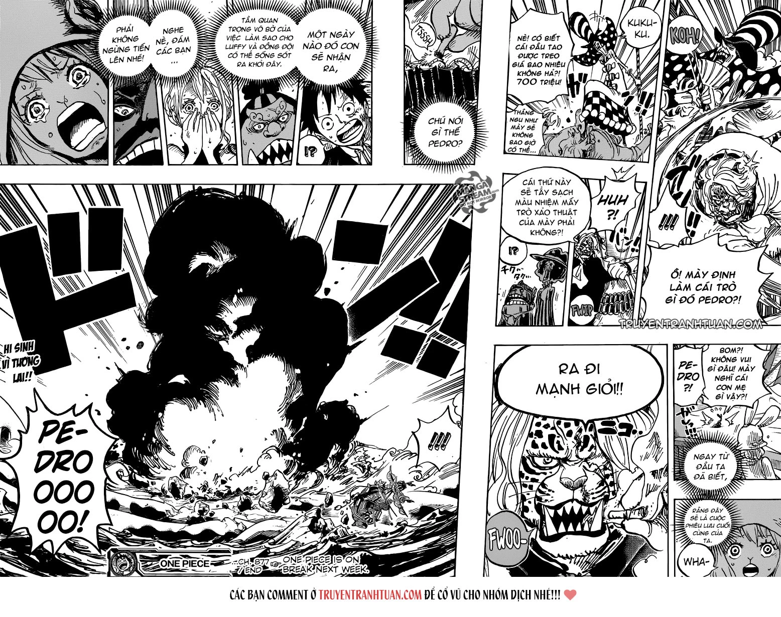 One Piece Chapter 877 - 16