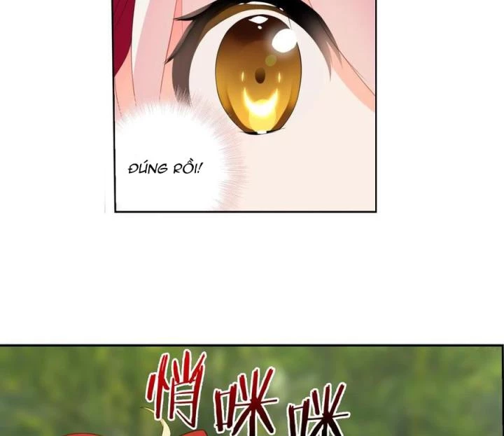 Như Loan Chapter 12 - 20