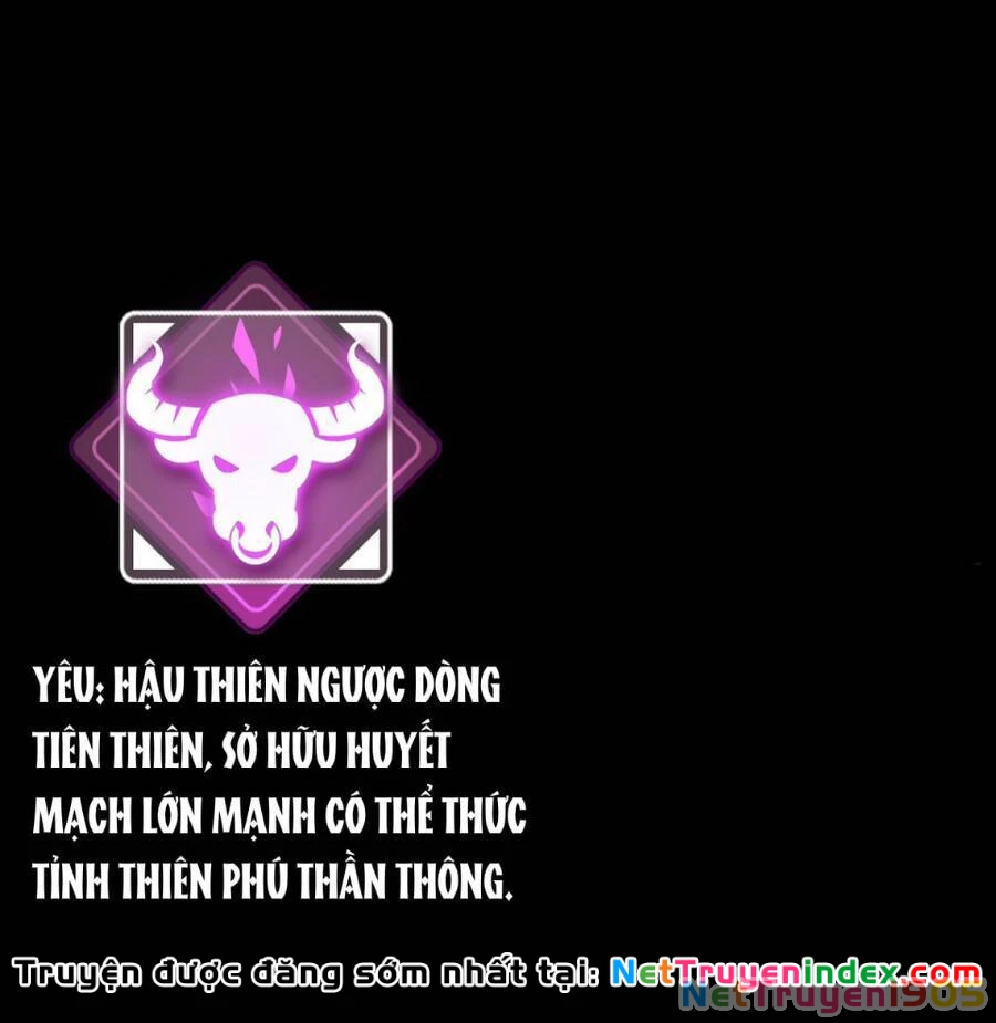 Tu Tiên Chính Là Như Vậy Chapter 5 - 6