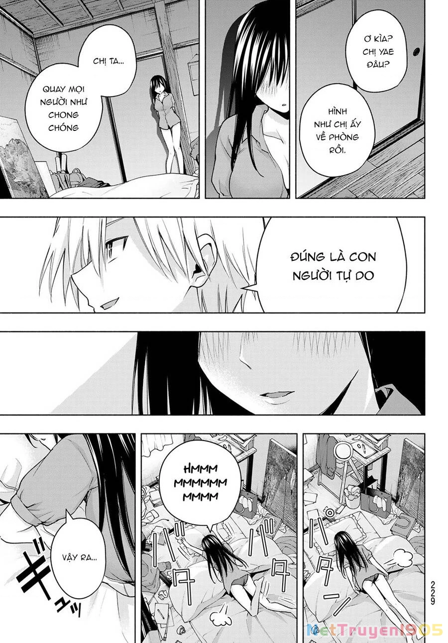 Amagami-San Chi No Enmusubi Chapter 40 - 19