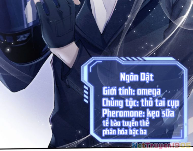 Chấp Sự Thỏ Cụp Tai Chapter 1 - 4