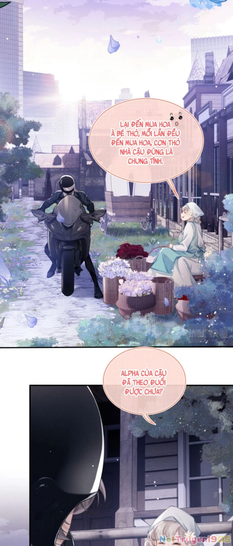 Chấp Sự Thỏ Cụp Tai Chapter 1 - 28