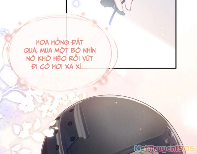 Chấp Sự Thỏ Cụp Tai Chapter 1 - 33