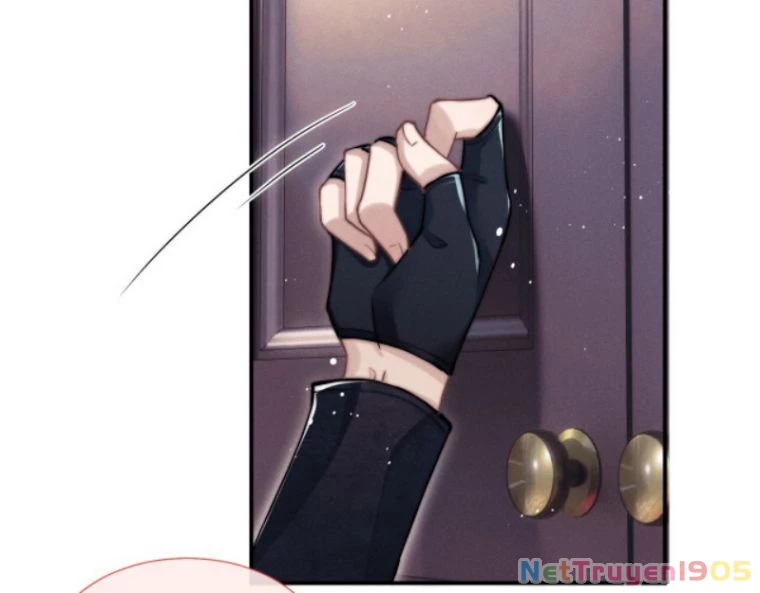 Chấp Sự Thỏ Cụp Tai Chapter 1 - 42