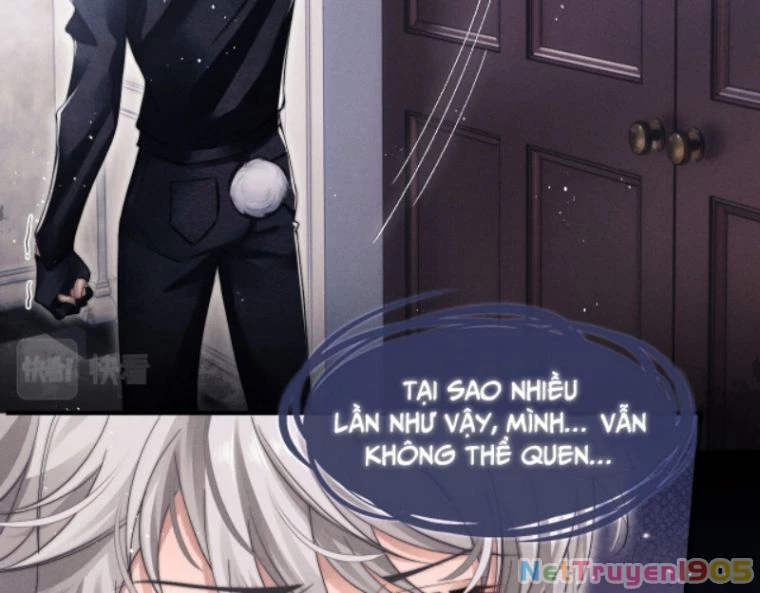 Chấp Sự Thỏ Cụp Tai Chapter 1 - 48