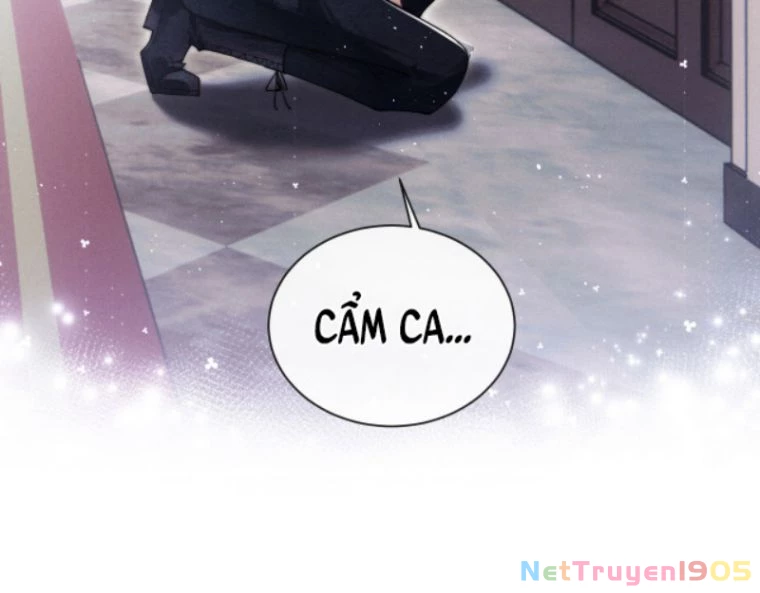 Chấp Sự Thỏ Cụp Tai Chapter 1 - 51