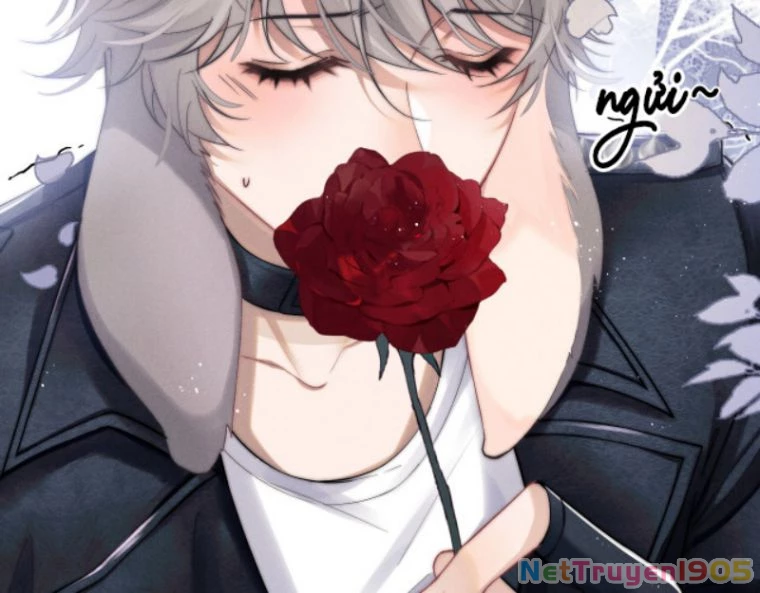 Chấp Sự Thỏ Cụp Tai Chapter 1 - 54