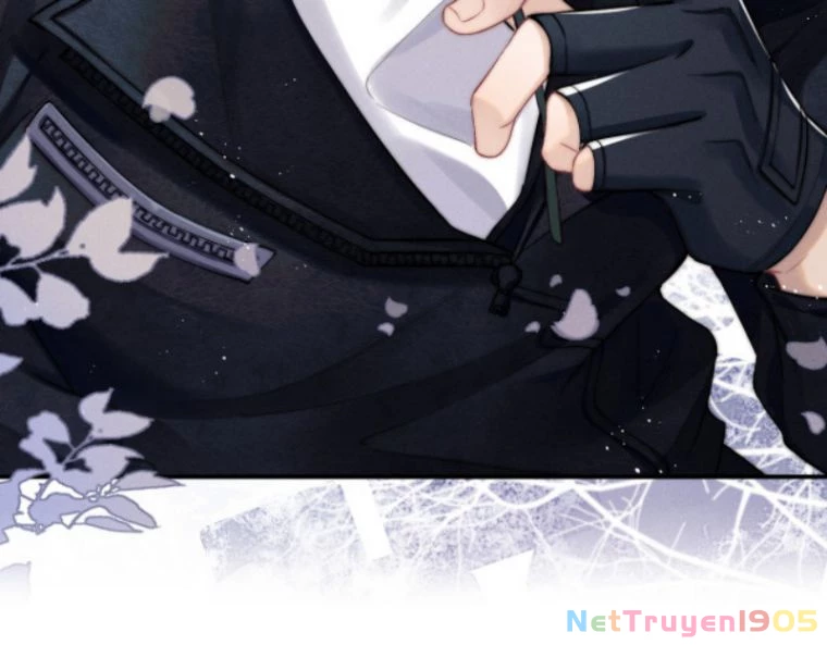 Chấp Sự Thỏ Cụp Tai Chapter 1 - 55