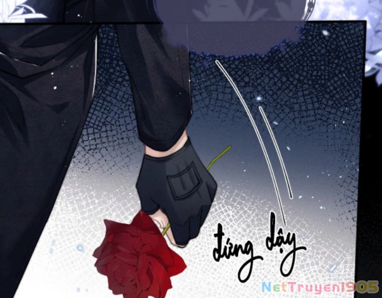 Chấp Sự Thỏ Cụp Tai Chapter 2 - 22