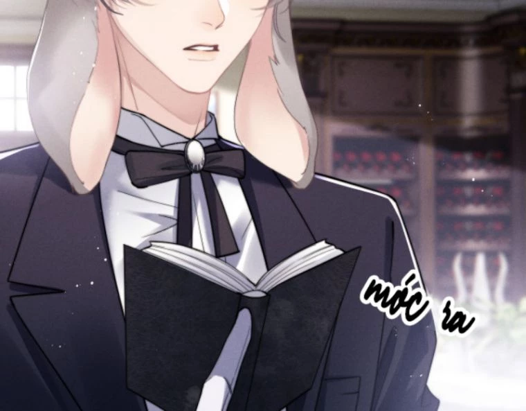 Chấp Sự Thỏ Cụp Tai Chapter 2 - 41