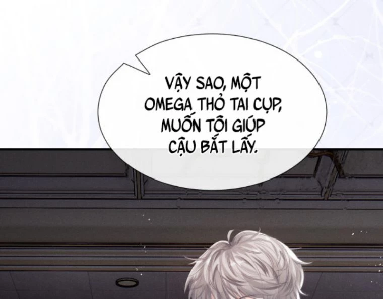 Chấp Sự Thỏ Cụp Tai Chapter 2 - 44