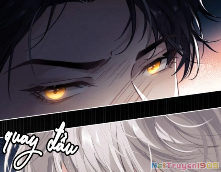 Chấp Sự Thỏ Cụp Tai Chapter 2 - 48