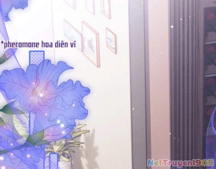 Chấp Sự Thỏ Cụp Tai Chapter 2 - 59