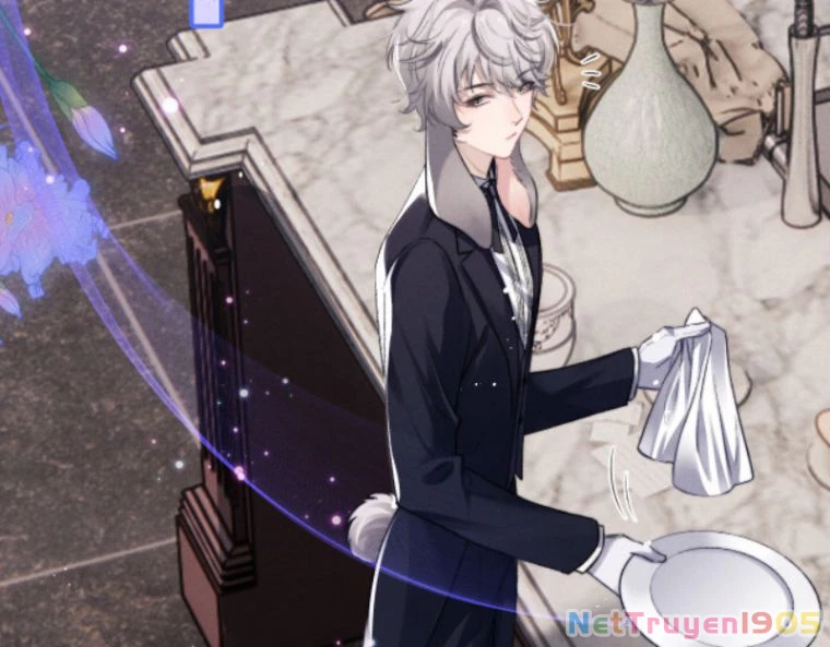 Chấp Sự Thỏ Cụp Tai Chapter 2 - 61