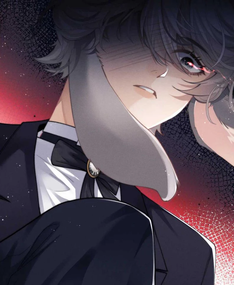 Chấp Sự Thỏ Cụp Tai Chapter 3 - 9