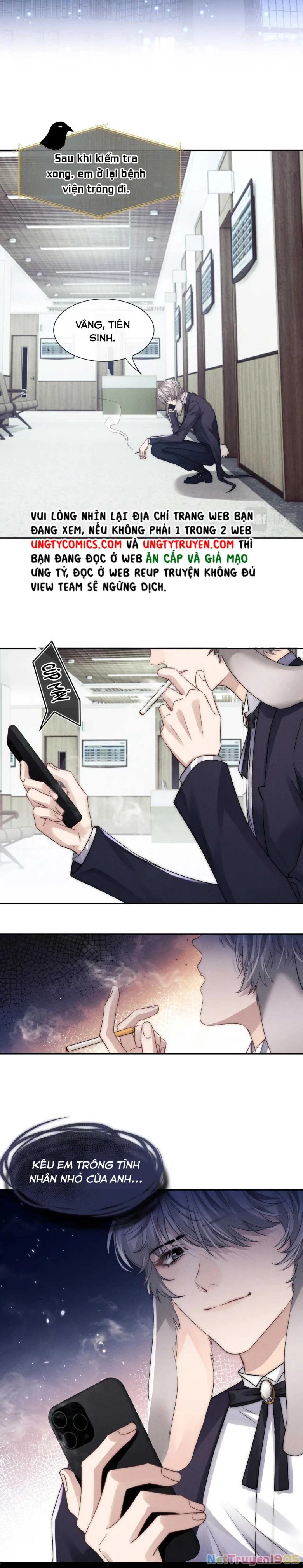 Chấp Sự Thỏ Cụp Tai Chapter 4 - 12