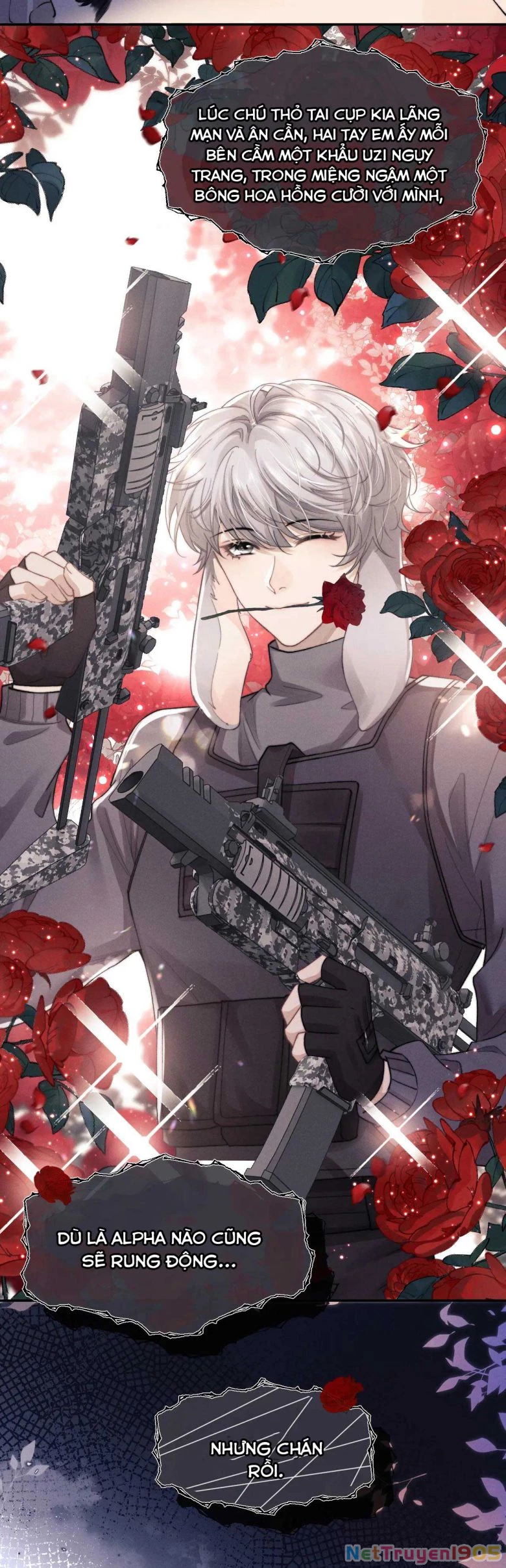 Chấp Sự Thỏ Cụp Tai Chapter 4 - 15