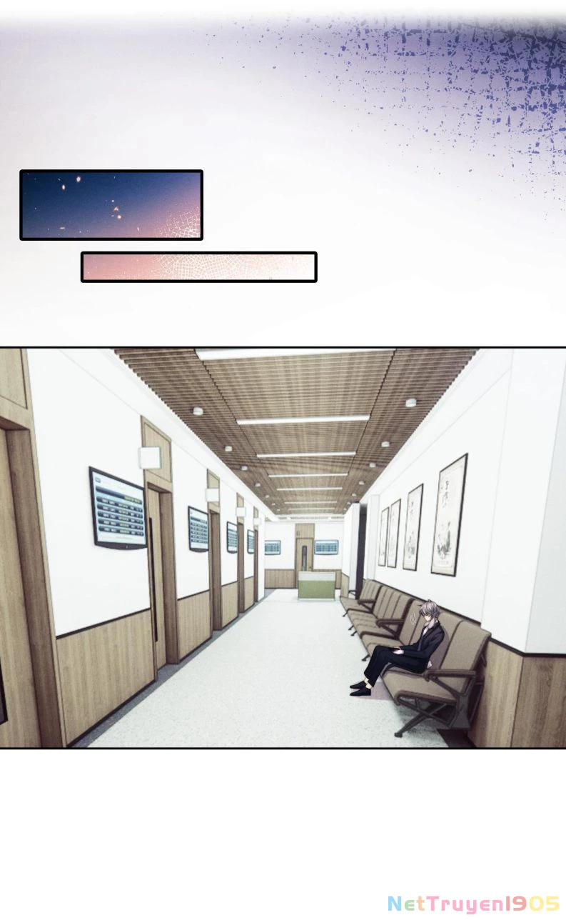 Chấp Sự Thỏ Cụp Tai Chapter 5 - 2