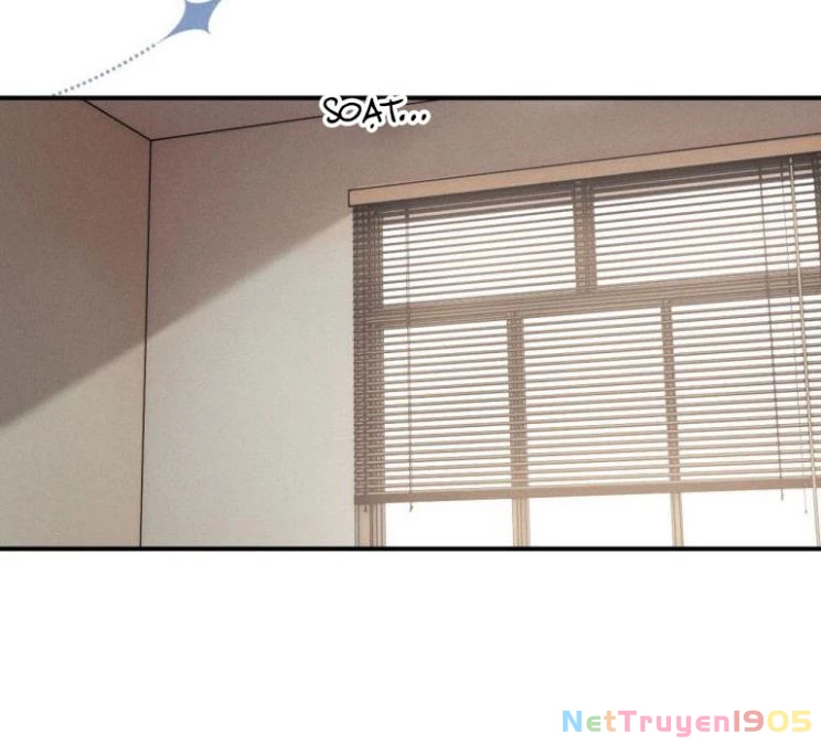 Chấp Sự Thỏ Cụp Tai Chapter 8 - 5