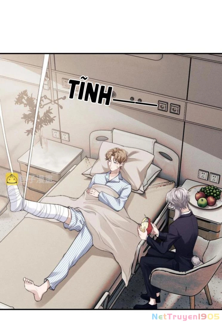 Chấp Sự Thỏ Cụp Tai Chapter 8 - 6