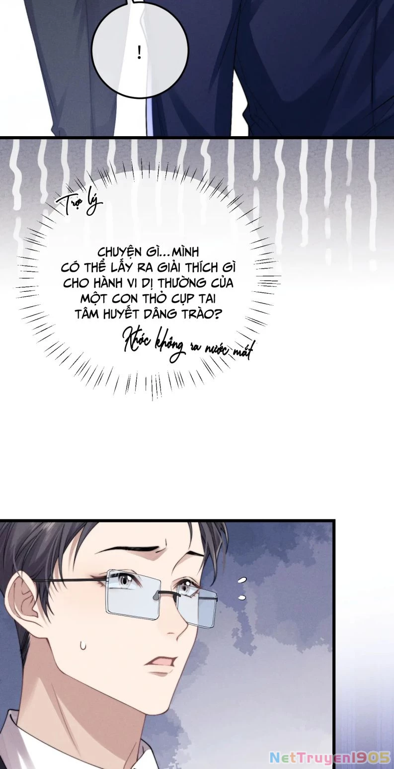 Chấp Sự Thỏ Cụp Tai Chapter 9 - 5