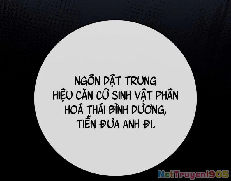 Chấp Sự Thỏ Cụp Tai Chapter 9 - 37