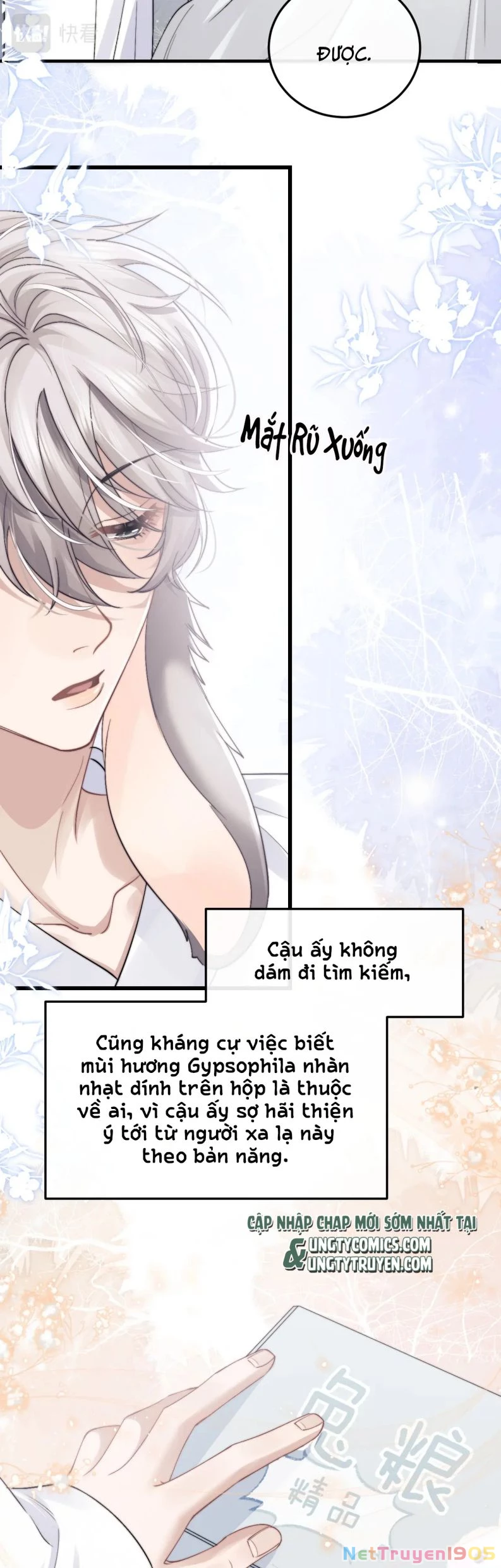 Chấp Sự Thỏ Cụp Tai Chapter 15 - 14