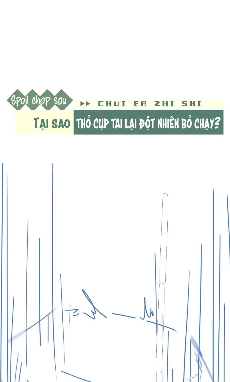 Chấp Sự Thỏ Cụp Tai Chapter 15 - 31